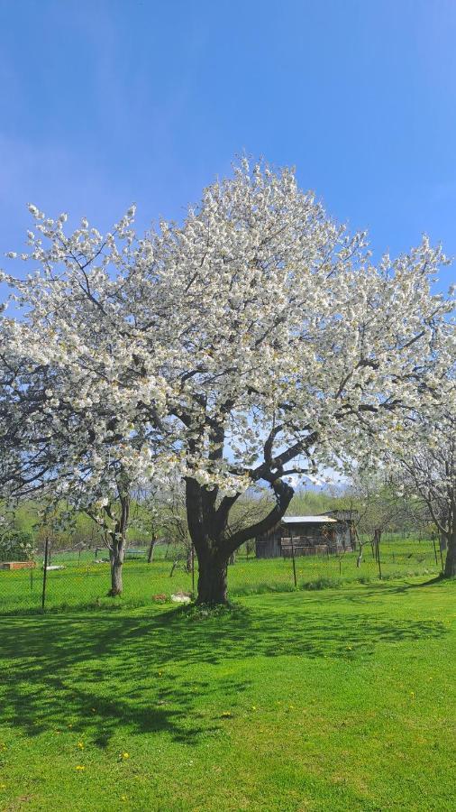Apartman Turista Pavčina Lehota المظهر الخارجي الصورة